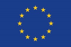 european-union-flag-with-text full-colour 1